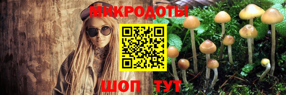 Галлюциногенные грибы Magic Shrooms Тамбов